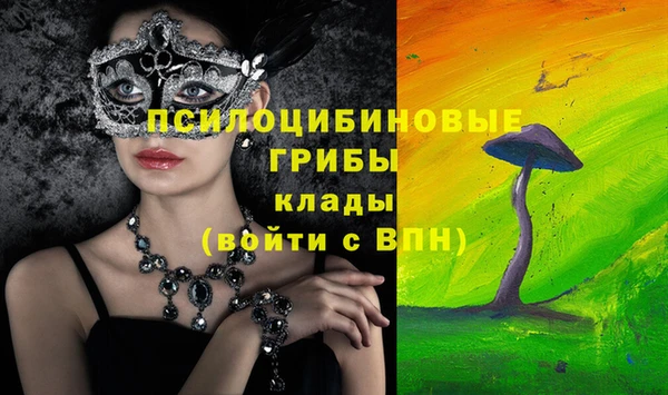 прущий лед Касимов