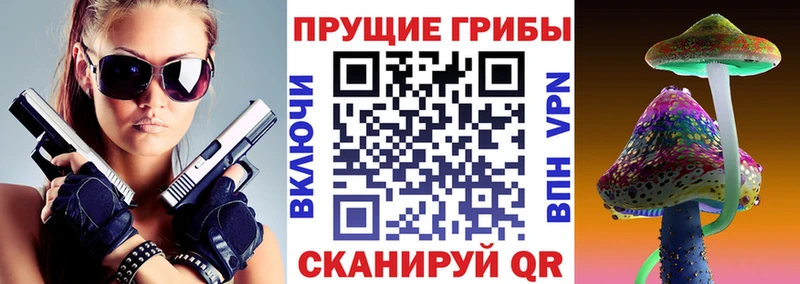Псилоцибиновые грибы Magic Shrooms  Купить где  Спас-Клепики 